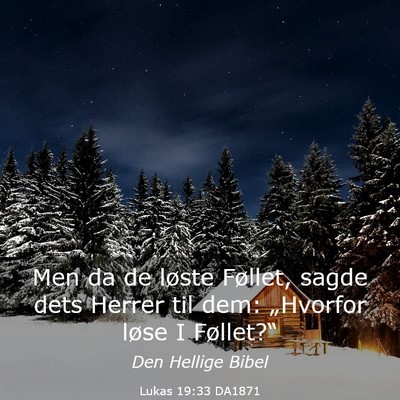 Picture 03 - Lukas 19:33 DA1871 - Men da de løste Føllet, sagde dets Herrer til - Bible Verse Picture