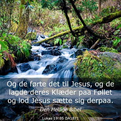 Picture 03 - Lukas 19:35 DA1871 - Og de førte det til Jesus, og de lagde deres - Bible Verse Picture