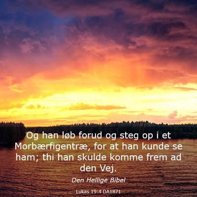 Picture 03 - Lukas 19:4 DA1871 - Og han løb forud og steg op i et - Bible Verse Picture