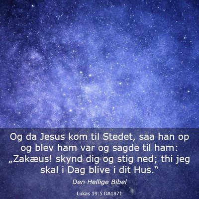 Picture 03 - Lukas 19:5 DA1871 - Og da Jesus kom til Stedet, saa han op og blev - Bible Verse Picture