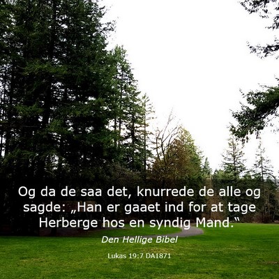 Picture 03 - Lukas 19:7 DA1871 - Og da de saa det, knurrede de alle og sagde: - Bible Verse Picture