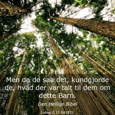 Picture 03 - Lukas 2:17 DA1871 - Men da de saa det, kundgjorde de, hvad der var - Bible Verse Picture