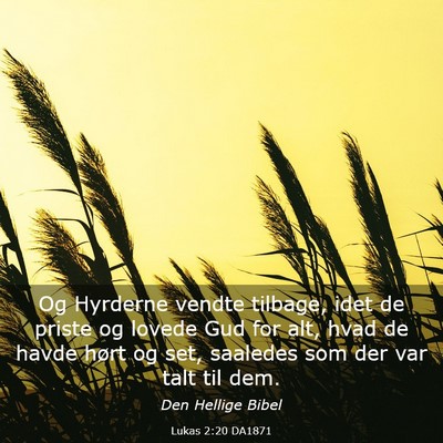 Picture 03 - Lukas 2:20 DA1871 - Og Hyrderne vendte tilbage, idet de priste og - Bible Verse Picture