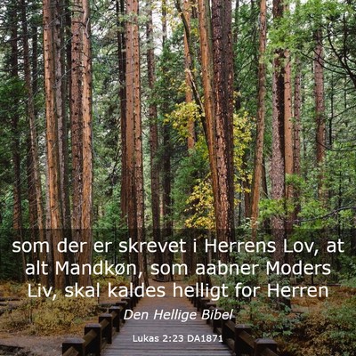 Picture 03 - Lukas 2:23 DA1871 - som der er skrevet i Herrens Lov, at alt - Bible Verse Picture