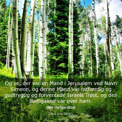 Picture 03 - Lukas 2:25 DA1871 - Og se, der var en Mand i Jerusalem ved Navn - Bible Verse Picture