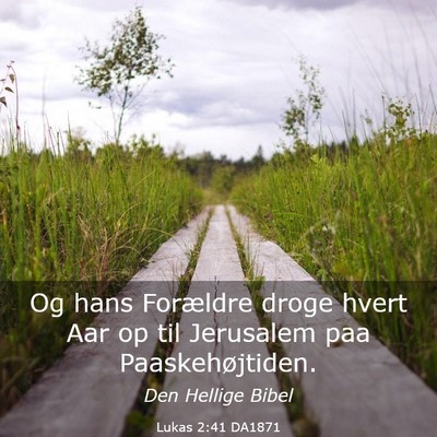 Picture 03 - Lukas 2:41 DA1871 - Og hans Forældre droge hvert Aar op til - Bible Verse Picture