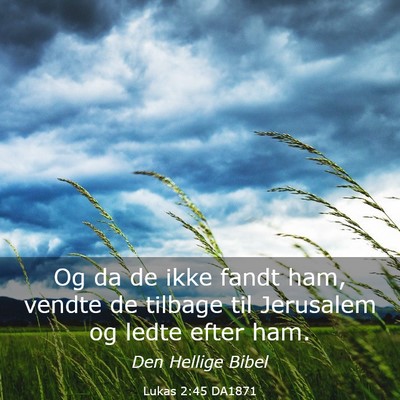 Picture 03 - Lukas 2:45 DA1871 - Og da de ikke fandt ham, vendte de tilbage til - Bible Verse Picture