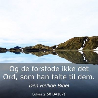 Picture 03 - Lukas 2:50 DA1871 - Og de forstode ikke det Ord, som han talte til - Bible Verse Picture