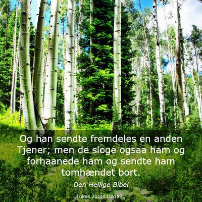 Picture 03 - Lukas 20:11 DA1871 - Og han sendte fremdeles en anden Tjener; men de - Bible Verse Picture