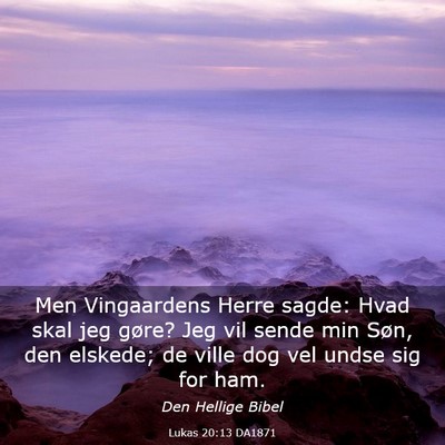 Picture 03 - Lukas 20:13 DA1871 - Men Vingaardens Herre sagde: Hvad skal jeg gøre? - Bible Verse Picture