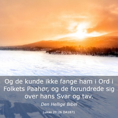 Picture 03 - Lukas 20:26 DA1871 - Og de kunde ikke fange ham i Ord i Folkets - Bible Verse Picture