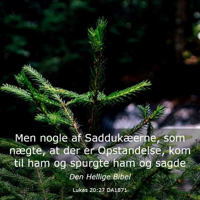 Picture 03 - Lukas 20:27 DA1871 - Men nogle af Saddukæerne, som nægte, at der er - Bible Verse Picture
