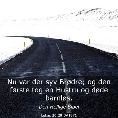 Picture 03 - Lukas 20:29 DA1871 - Nu var der syv Brødre; og den første tog en - Bible Verse Picture
