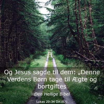 Picture 03 - Lukas 20:34 DA1871 - Og Jesus sagde til dem: „Denne Verdens Børn - Bible Verse Picture