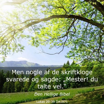 Picture 03 - Lukas 20:39 DA1871 - Men nogle af de skriftkloge svarede og sagde: - Bible Verse Picture