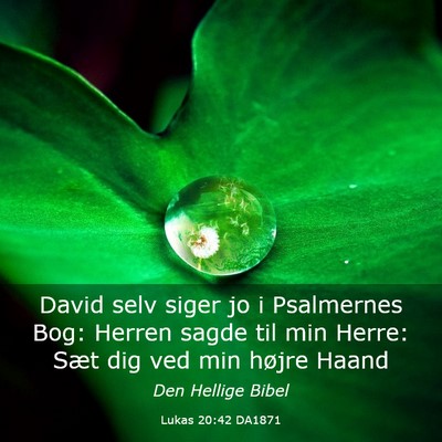 Picture 03 - Lukas 20:42 DA1871 - David selv siger jo i Psalmernes Bog: Herren - Bible Verse Picture