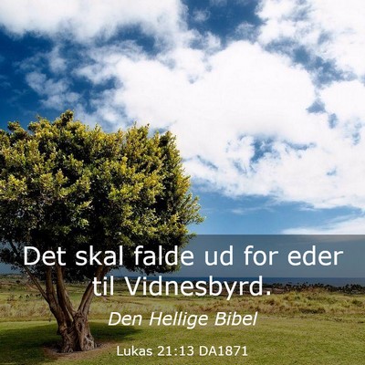 Picture 03 - Lukas 21:13 DA1871 - Det skal falde ud for eder til - Bible Verse Picture