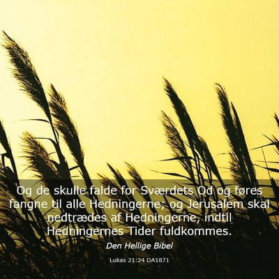 Picture 03 - Lukas 21:24 DA1871 - Og de skulle falde for Sværdets Od og føres - Bible Verse Picture
