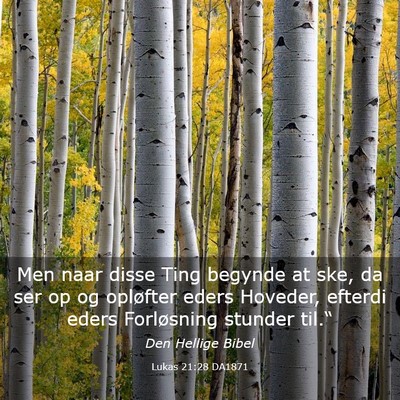Picture 03 - Lukas 21:28 DA1871 - Men naar disse Ting begynde at ske, da ser op og - Bible Verse Picture