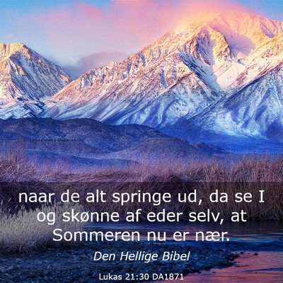 Picture 03 - Lukas 21:30 DA1871 - naar de alt springe ud, da se I og skønne af - Bible Verse Picture