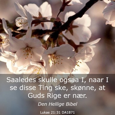Picture 03 - Lukas 21:31 DA1871 - Saaledes skulle ogsaa I, naar I se disse Ting - Bible Verse Picture