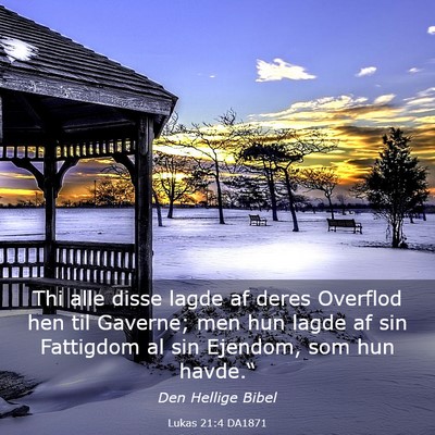 Picture 03 - Lukas 21:4 DA1871 - Thi alle disse lagde af deres Overflod hen til - Bible Verse Picture