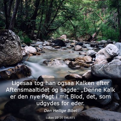 Picture 03 - Lukas 22:20 DA1871 - Ligesaa tog han ogsaa Kalken efter - Bible Verse Picture