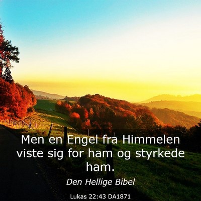 Picture 03 - Lukas 22:43 DA1871 - Men en Engel fra Himmelen viste sig for ham og - Bible Verse Picture