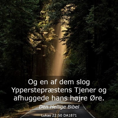 Picture 03 - Lukas 22:50 DA1871 - Og en af dem slog Ypperstepræstens Tjener og - Bible Verse Picture