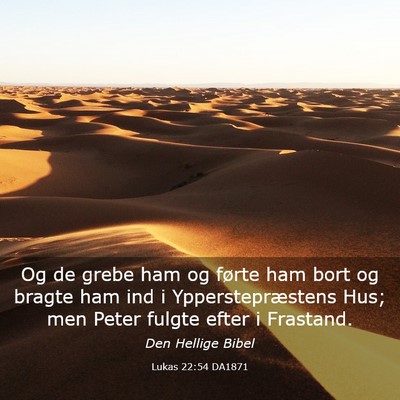 Picture 03 - Lukas 22:54 DA1871 - Og de grebe ham og førte ham bort og bragte ham - Bible Verse Picture
