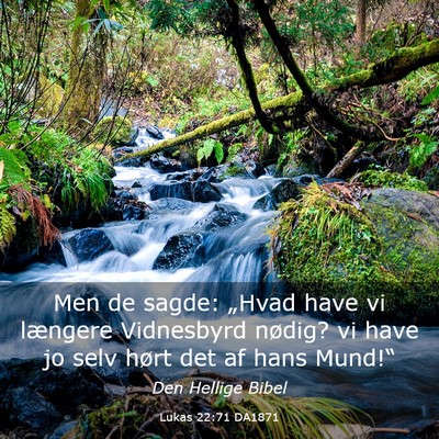 Picture 03 - Lukas 22:71 DA1871 - Men de sagde: „Hvad have vi længere Vidnesbyrd - Bible Verse Picture