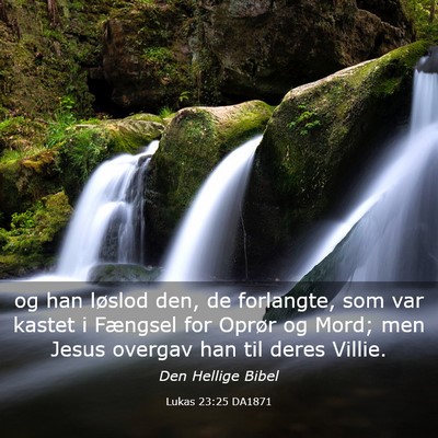 Picture 03 - Lukas 23:25 DA1871 - og han løslod den, de forlangte, som var kastet - Bible Verse Picture