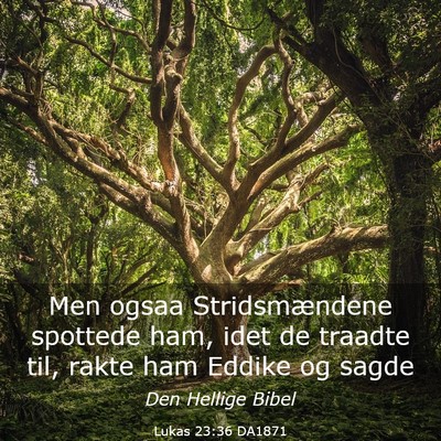 Picture 03 - Lukas 23:36 DA1871 - Men ogsaa Stridsmændene spottede ham, idet de - Bible Verse Picture