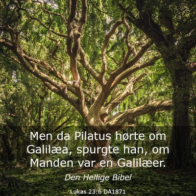 Picture 03 - Lukas 23:6 DA1871 - Men da Pilatus hørte om Galilæa, spurgte han, - Bible Verse Picture