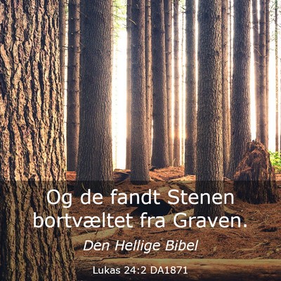 Picture 03 - Lukas 24:2 DA1871 - Og de fandt Stenen bortvæltet fra - Bible Verse Picture