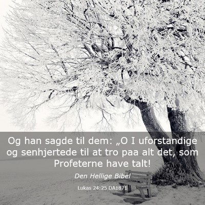 Picture 03 - Lukas 24:25 DA1871 - Og han sagde til dem: „O I uforstandige og - Bible Verse Picture
