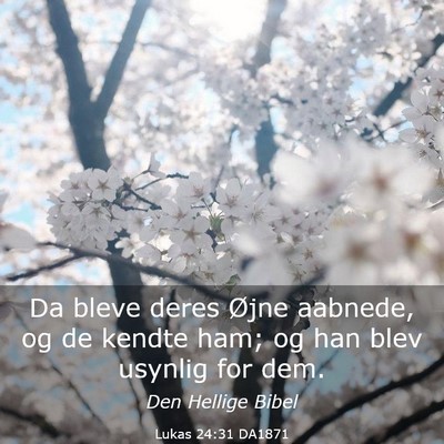 Picture 03 - Lukas 24:31 DA1871 - Da bleve deres Øjne aabnede, og de kendte ham; - Bible Verse Picture