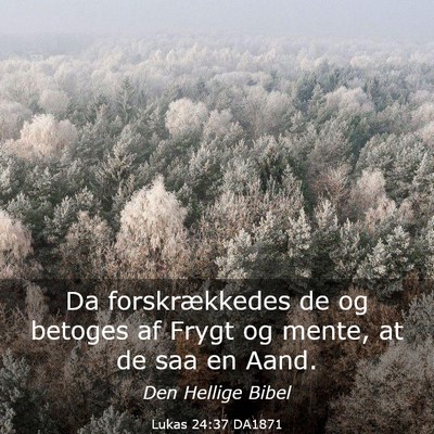 Picture 03 - Lukas 24:37 DA1871 - Da forskrækkedes de og betoges af Frygt og - Bible Verse Picture