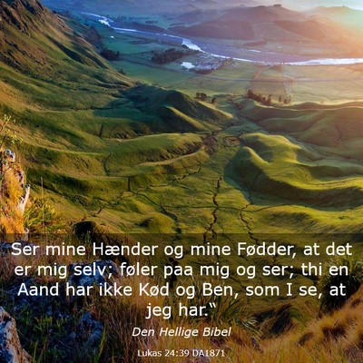 Picture 03 - Lukas 24:39 DA1871 - Ser mine Hænder og mine Fødder, at det er mig - Bible Verse Picture