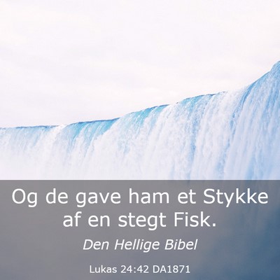Picture 03 - Lukas 24:42 DA1871 - Og de gave ham et Stykke af en stegt - Bible Verse Picture