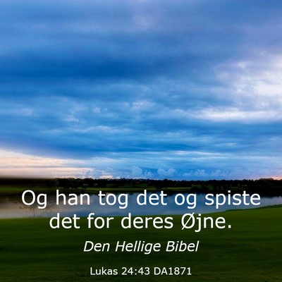 Picture 03 - Lukas 24:43 DA1871 - Og han tog det og spiste det for deres - Bible Verse Picture