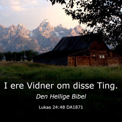 Picture 03 - Lukas 24:48 DA1871 - I ere Vidner om disse - Bible Verse Picture