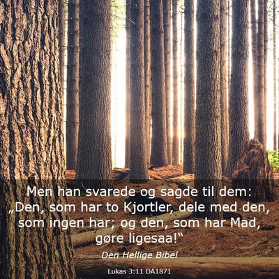 Picture 03 - Lukas 3:11 DA1871 - Men han svarede og sagde til dem: „Den, som har - Bible Verse Picture