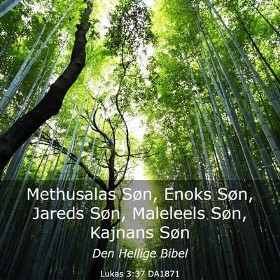 Picture 03 - Lukas 3:37 DA1871 - Methusalas Søn, Enoks Søn, Jareds Søn, - Bible Verse Picture