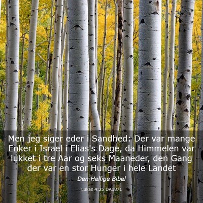 Picture 03 - Lukas 4:25 DA1871 - Men jeg siger eder i Sandhed: Der var mange Enker - Bible Verse Picture