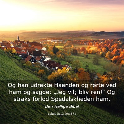 Picture 03 - Lukas 5:13 DA1871 - Og han udrakte Haanden og rørte ved ham og - Bible Verse Picture