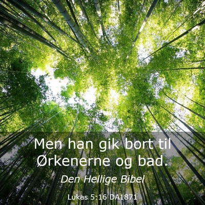 Picture 03 - Lukas 5:16 DA1871 - Men han gik bort til Ørkenerne og - Bible Verse Picture