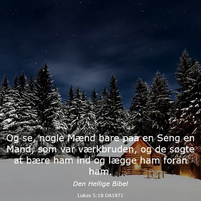 Picture 03 - Lukas 5:18 DA1871 - Og se, nogle Mænd bare paa en Seng en Mand, som - Bible Verse Picture