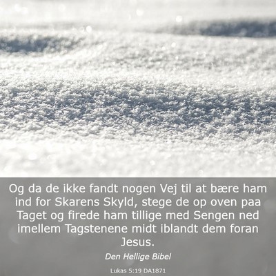 Picture 03 - Lukas 5:19 DA1871 - Og da de ikke fandt nogen Vej til at bære ham - Bible Verse Picture