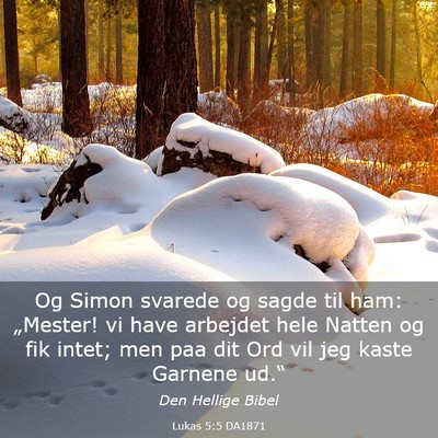 Picture 03 - Lukas 5:5 DA1871 - Og Simon svarede og sagde til ham: „Mester! vi - Bible Verse Picture